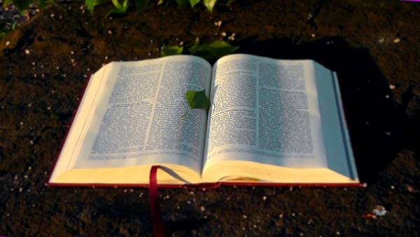 Bible, book, small