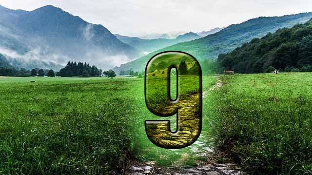 numerology life path number 9 symbols